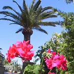 Gaia Cefalù