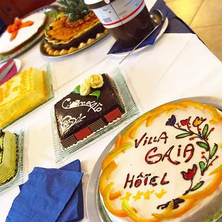 Hotel Gaia 4*