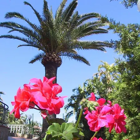 Gaia Cefalu